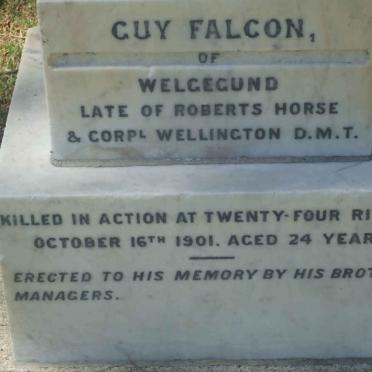 FALCON Guy -1901