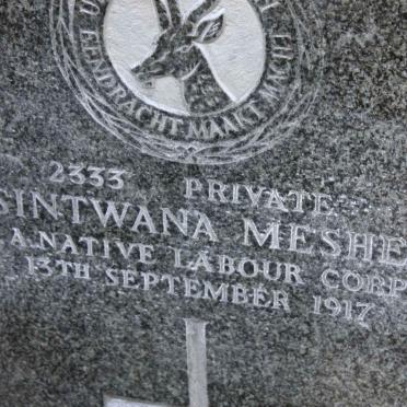MESHE Sintwana -1917
