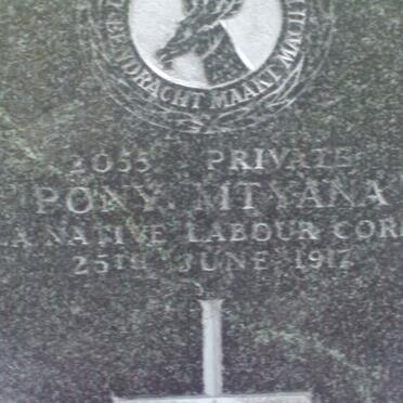 MTYANA Pony −1917