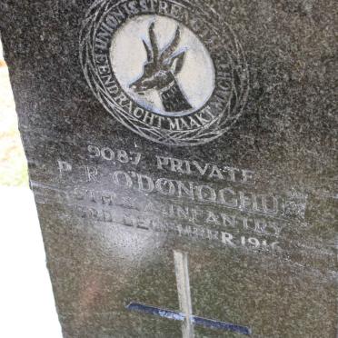 O'DONOGHUE P.R. -1916