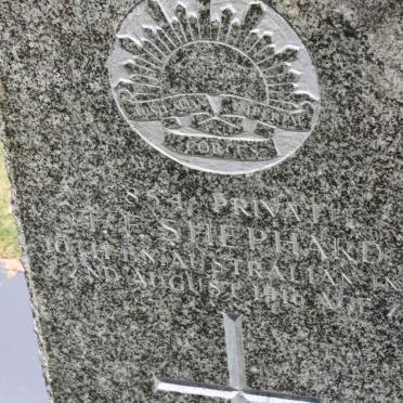 SHEPHARD T?.F. -1916