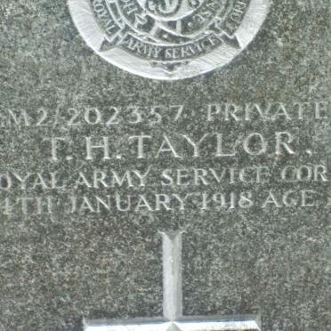 TAYLOR T.H. -1918