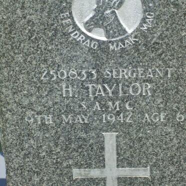 T - Vanne :: Surnames - T