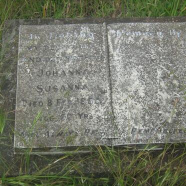 ? Johanna Susanna -1955