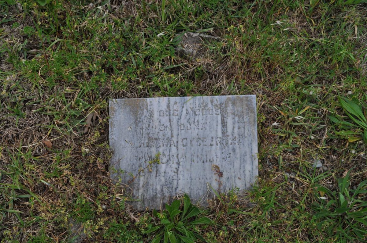 ? Jacomina Gysbertina Johanna