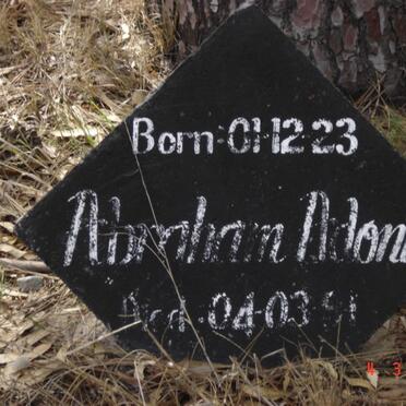 ADONIS Abraham 1923-1991