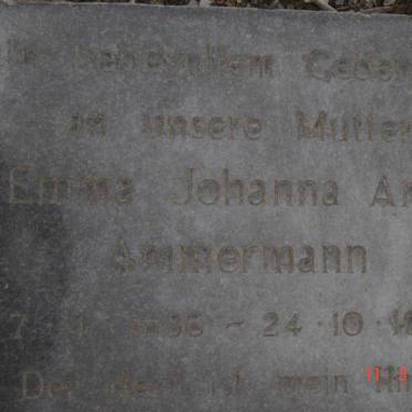 Am - Surnames starting with the letters Am