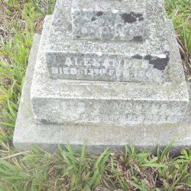 ANDERSON Alexander -1906