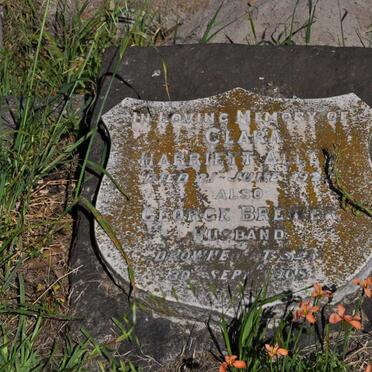 ALLEN George Brewer 1905 &amp; Clara Harriett -1925