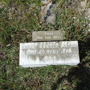 BAYNE Harry Lochee -1895