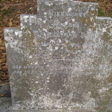 BAU Theodor Carl 1854-1899