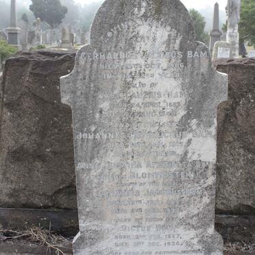 BAM :: VAN BLOMMENSTEIN