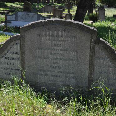 BELLAMY Fred :: BELLAMY :: Metty :: BELLAMY Lance -1949 :: BELLAMY Paul Neville -1944