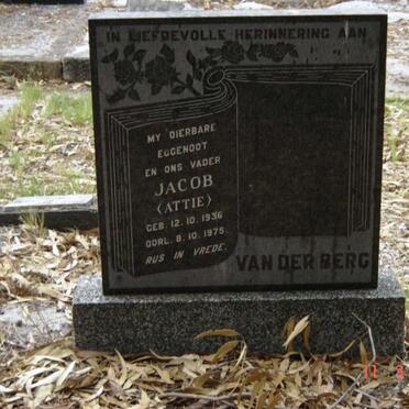 BERG Jacob, van der 1936-1975