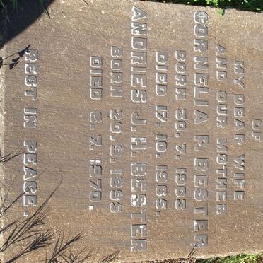 BESTER Andries J.H. 1895-1970 &amp; Cornelia P. 1903-1965