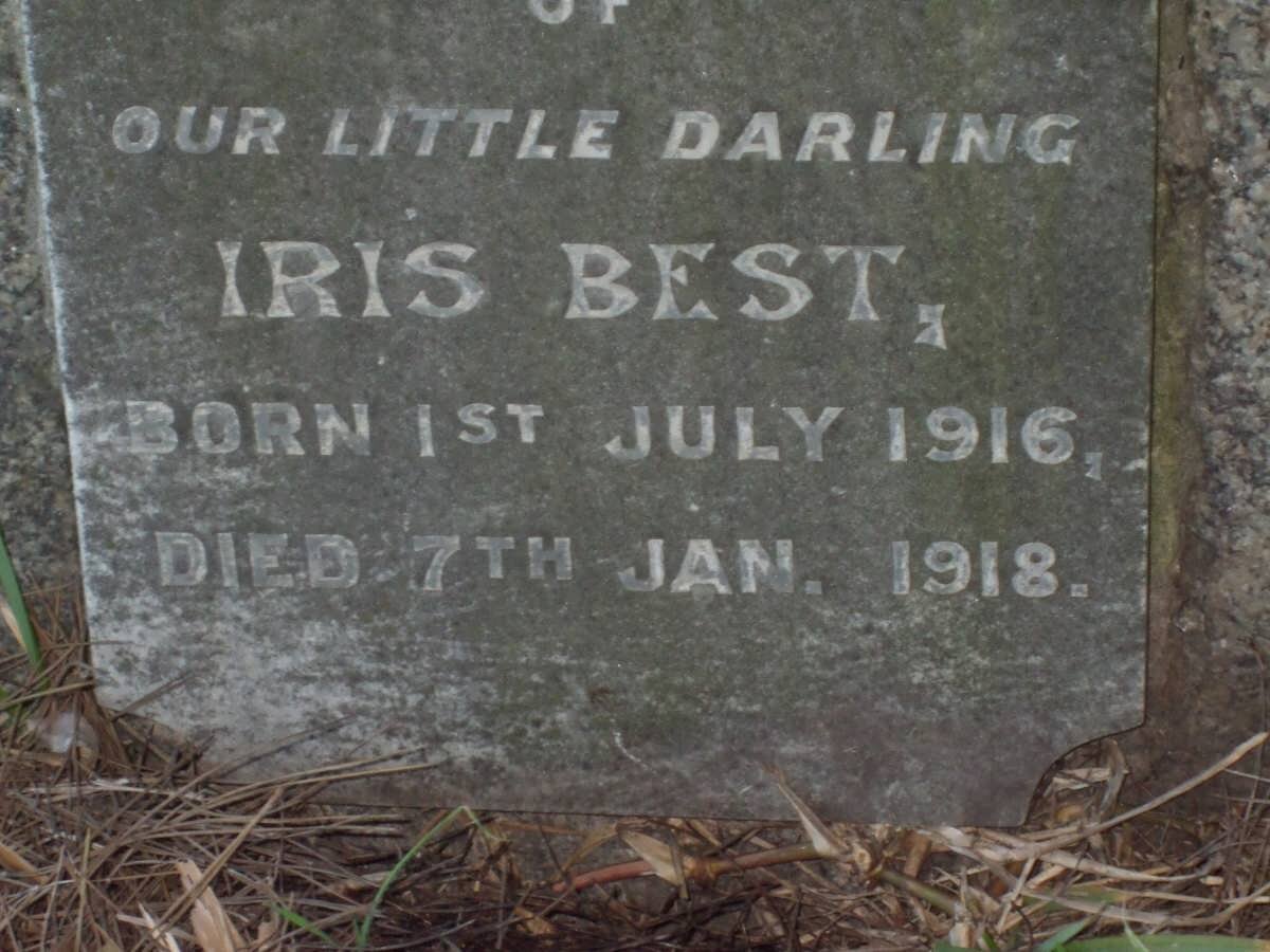 BEST Iris 1916-1918