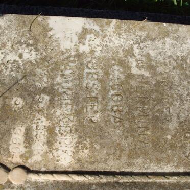 BESTER Jurgen Jacobus  Gysbert 1893-1966 &amp; ? Jacoba nee VAN NIEKERK 1894-1966_3