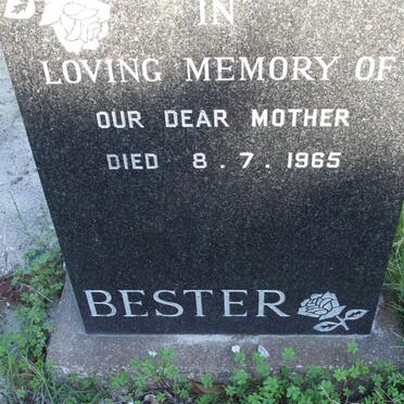 BESTER Jacobus Johannes Petrus 1921-1965 :: BESTER Mother -1965_3