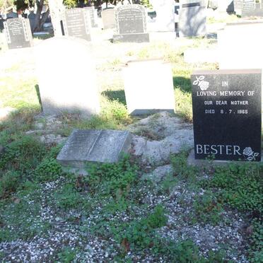 BESTER Jacobus Johannes Petrus 1921-1965 :: BESTER Mother -1965_1