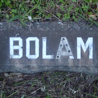 BOLAM