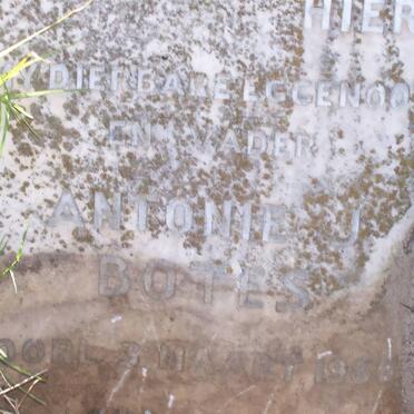 BOTES Antonie J. -1956