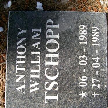 TSCHOPP Anthony William 1989 -1989