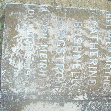 BORGSTROM Catherine Bushnell nee MEIRING -1954