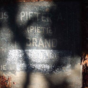 BRAND Petrus Pieter A. 1961-1964