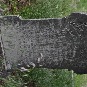 BROWN George Henry -1931 &amp;  Maria Johanna -1934