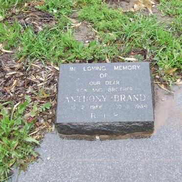 BRAND Anthony 1966-1984