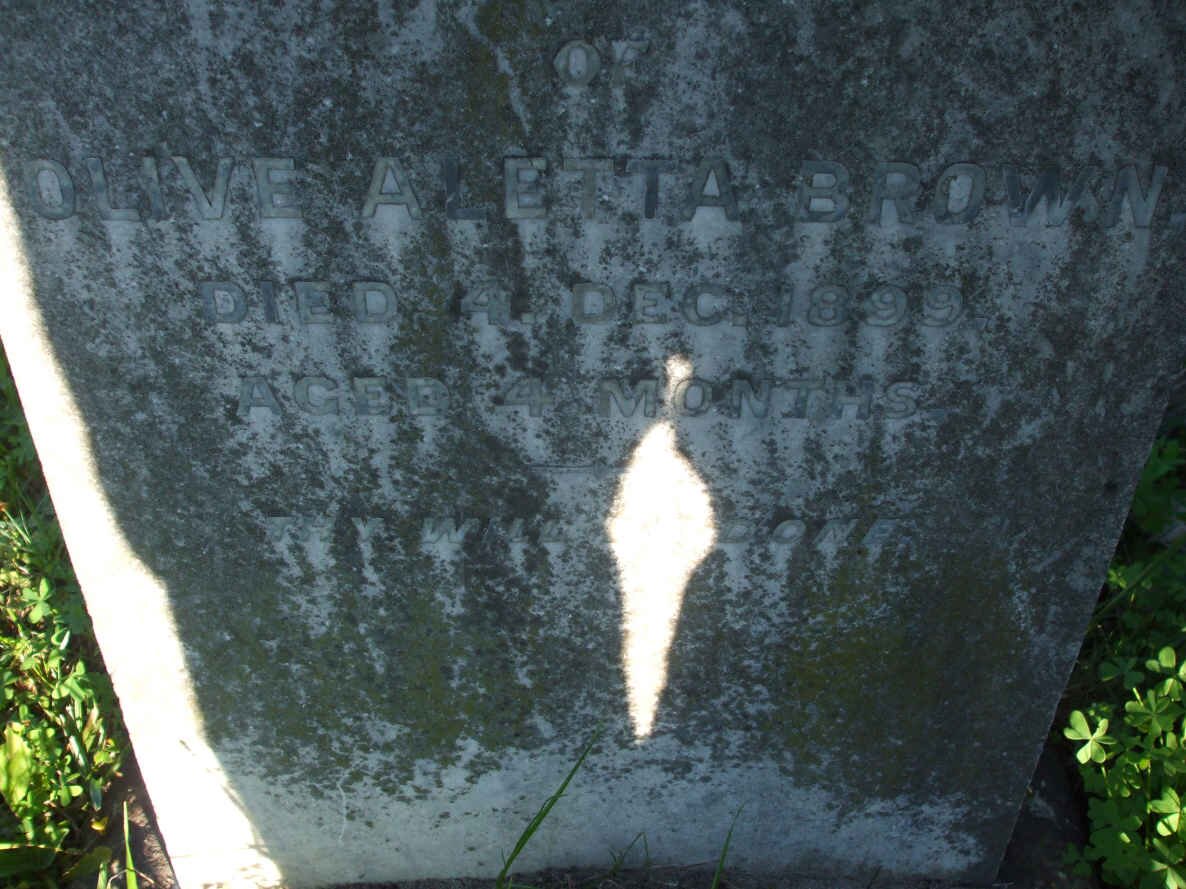 BROWN Olive Aletta -1899