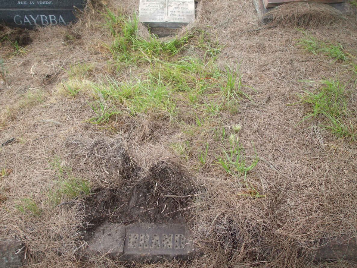 BRAND Christiaan 1905-1961 &amp; Helena 1907-1978