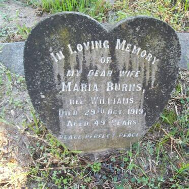 BURNS Maria nee WILLIAMS -1919