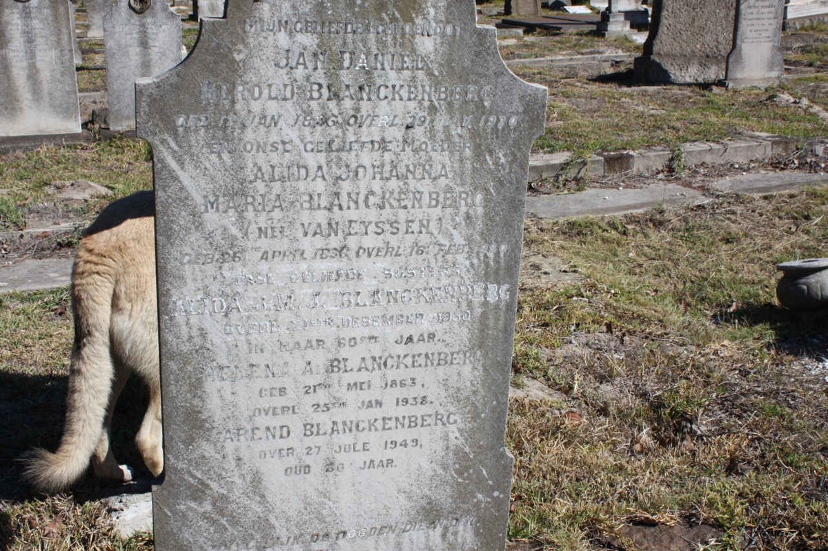 BLANCKENBERG :: VAN EYSSEN