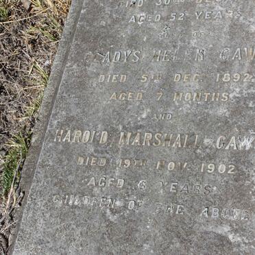 CAWSE Harold Marshall -1902