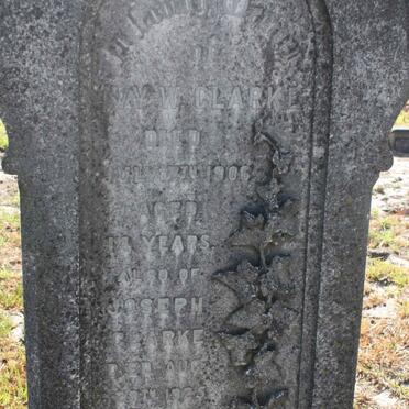 CLARKE Joseph -1925 :: CLARKE Ivy W. -1906