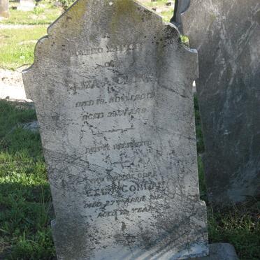 Cl - Surnames starting with the letters Cl