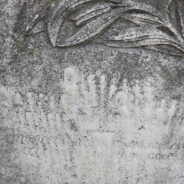 COMBRINK Nicolaas Casparus -1915