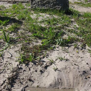 COLLOPY Patrick Joseph -1941 &amp; Madelaine Catherine -1967