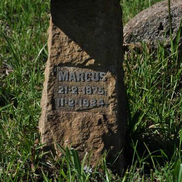 COSTER Marcus 1875-1934