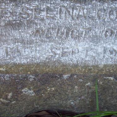 COLENSO Selina nee BRAMBLE -1917