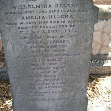 COSSLETT :: ROHLAND :: TERHART