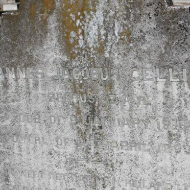 CELLIERS Johannes Jacobus 1865-1893