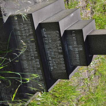 DAWSON Robert Charles 1862-1925