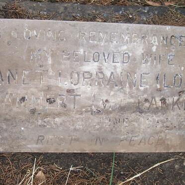 DAMMERT Janet Lorraine nee PANKIN -1952