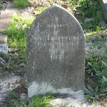 DOWLING William -1906