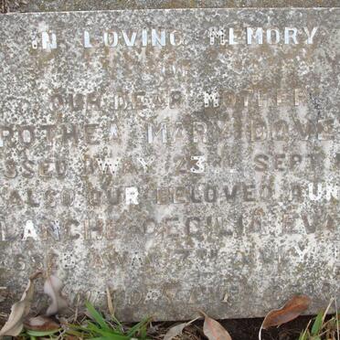 DOVETON Dorothea Mary -1925 :: EVANS Blanche Cecilia -1951