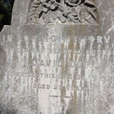 DOW David  -1893