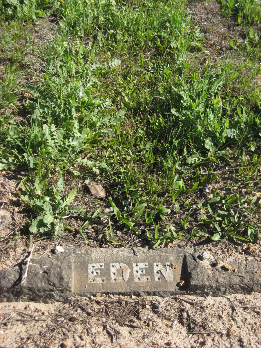 EDEN