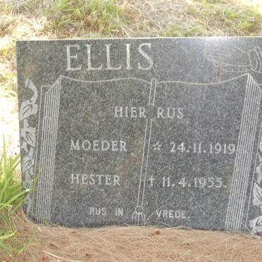 ELLIS Hester 1919-1955